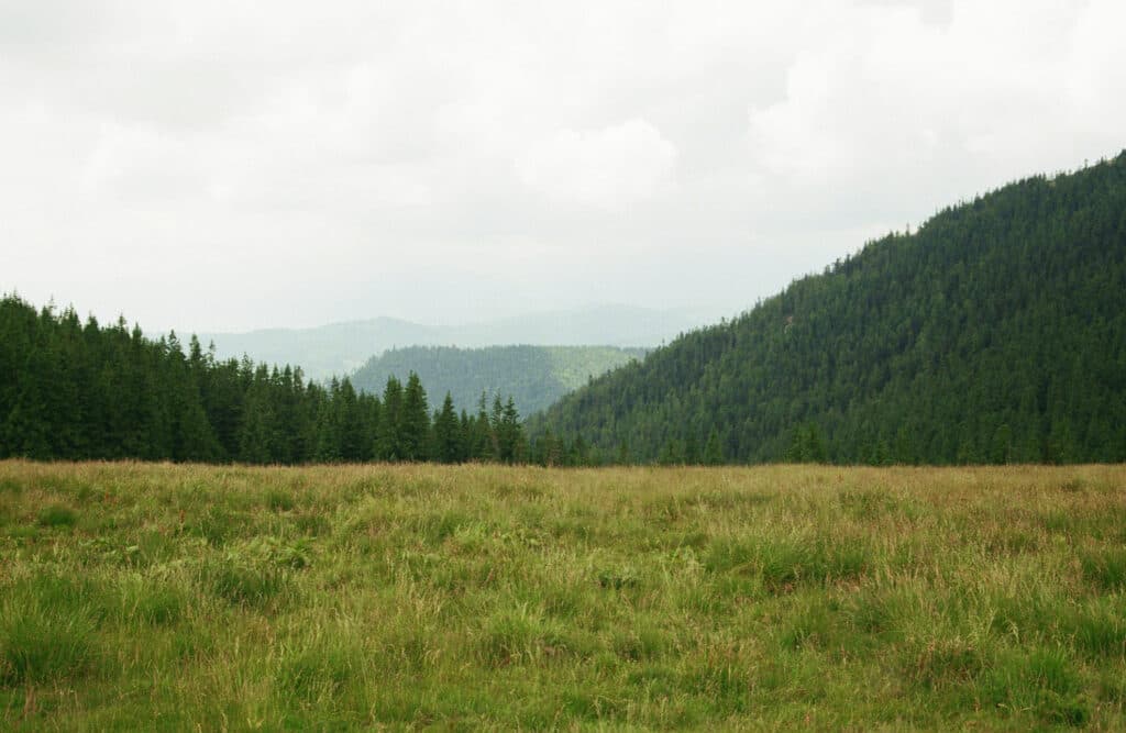 Lesy, skály a hřebeny hor